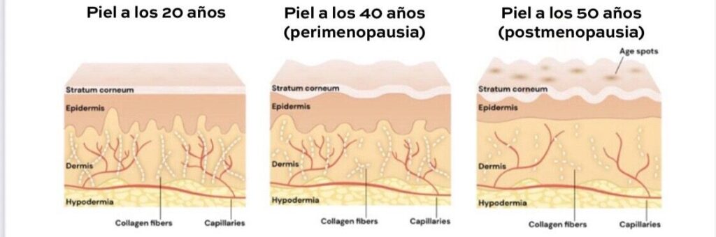 5297088e B92a 4faf 93b1 D9963bbf3c5a